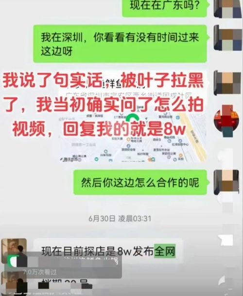 网红黑料爆料网在线看 社会热点ppt,社会热点背后的网络舆论风暴