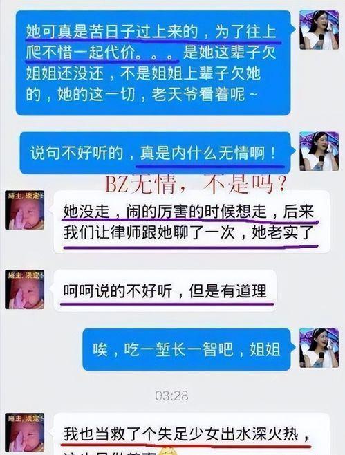 网红黑料爆料网在线看 社会热点ppt,社会热点背后的网络舆论风暴