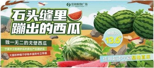 每日大赛 热门大瓜有哪些,盘点热门大瓜精彩瞬间