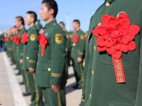 每日大赛 热门大瓜有哪些,盘点热门大瓜精彩瞬间