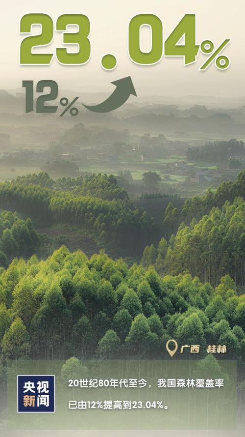 木林森在线观看,穿越时光的森林奇遇记